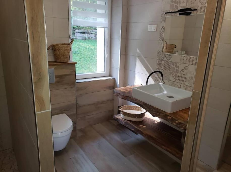 Le Bord De Sarre Meuble 3 Etoiles Apartman Sarreguemines Kültér fotó