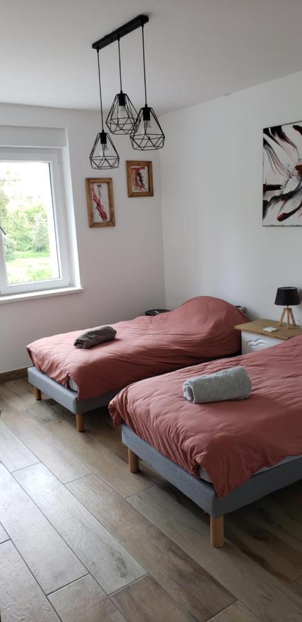 Le Bord De Sarre Meuble 3 Etoiles Apartman Sarreguemines Kültér fotó